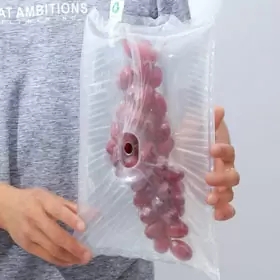 Mango Grapes Banana Guava Fruit Protection Air Bag